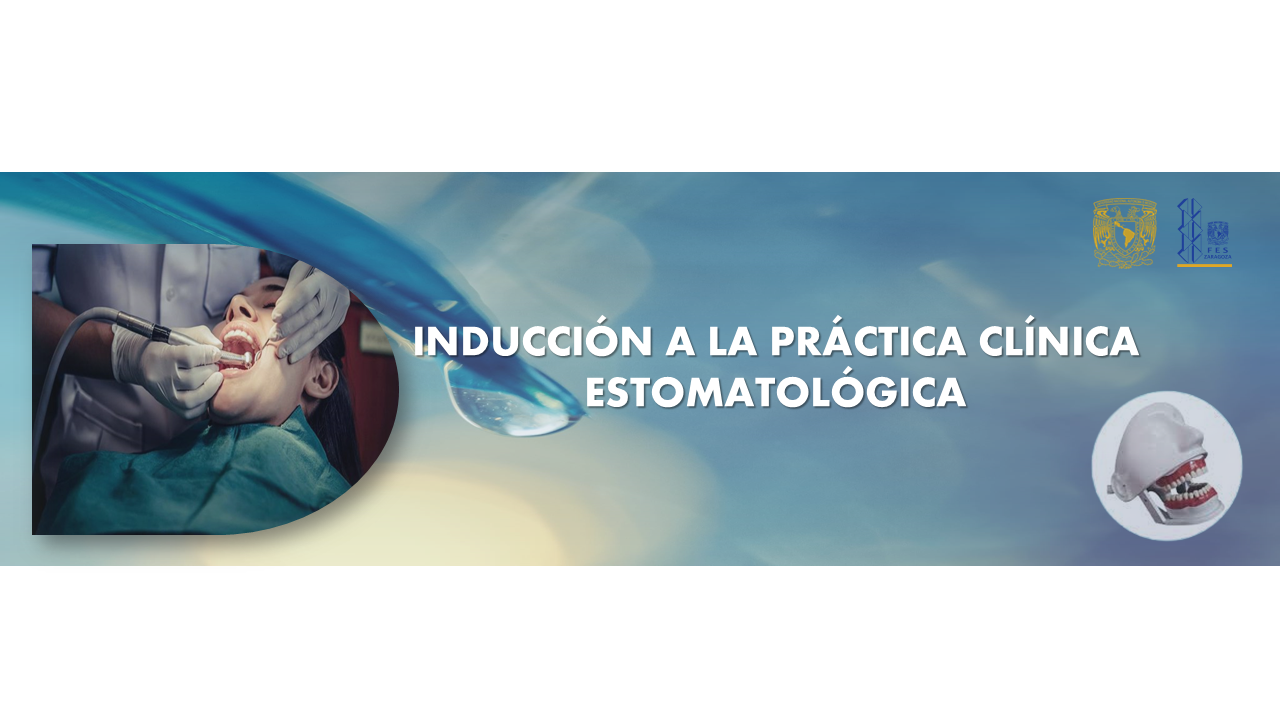 Curso Inducción a la práctica Clínica
